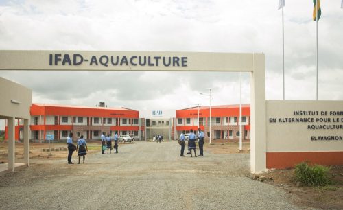 La rentrée scolaire 2022 à l’IFAD-Aquaculture d’Elavagnon